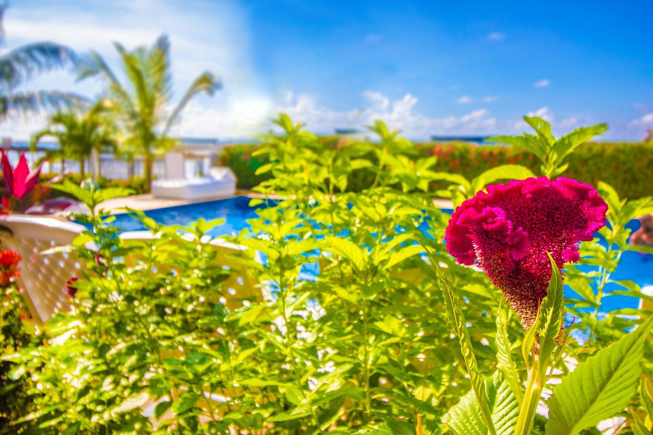 Hotel Aria Manzanillo Cartagena Ngoại thất bức ảnh